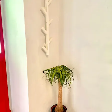 Apartamento {quadrilatero} Bicerin 164 *
